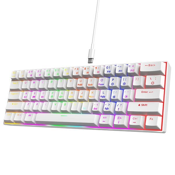 TMICE 61 Keys 60 Percent Wired Mechanical Keyboard 60% RGB Gaming Keyboard for Computer PC Keyboard with Backlit