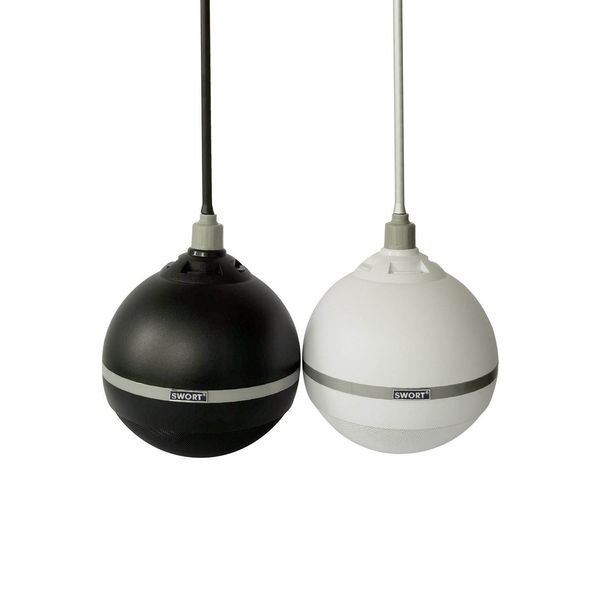 ball speaker Modern Design Factory Wholesale 15W Output Power Wall Anker Midrange hanging speaker